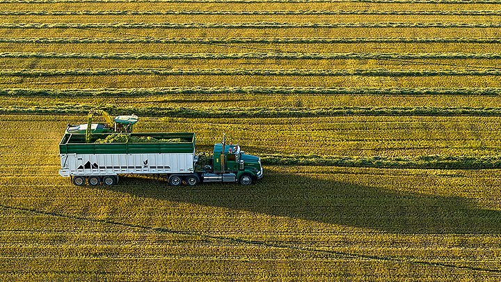 FORAGE TRAILER 1