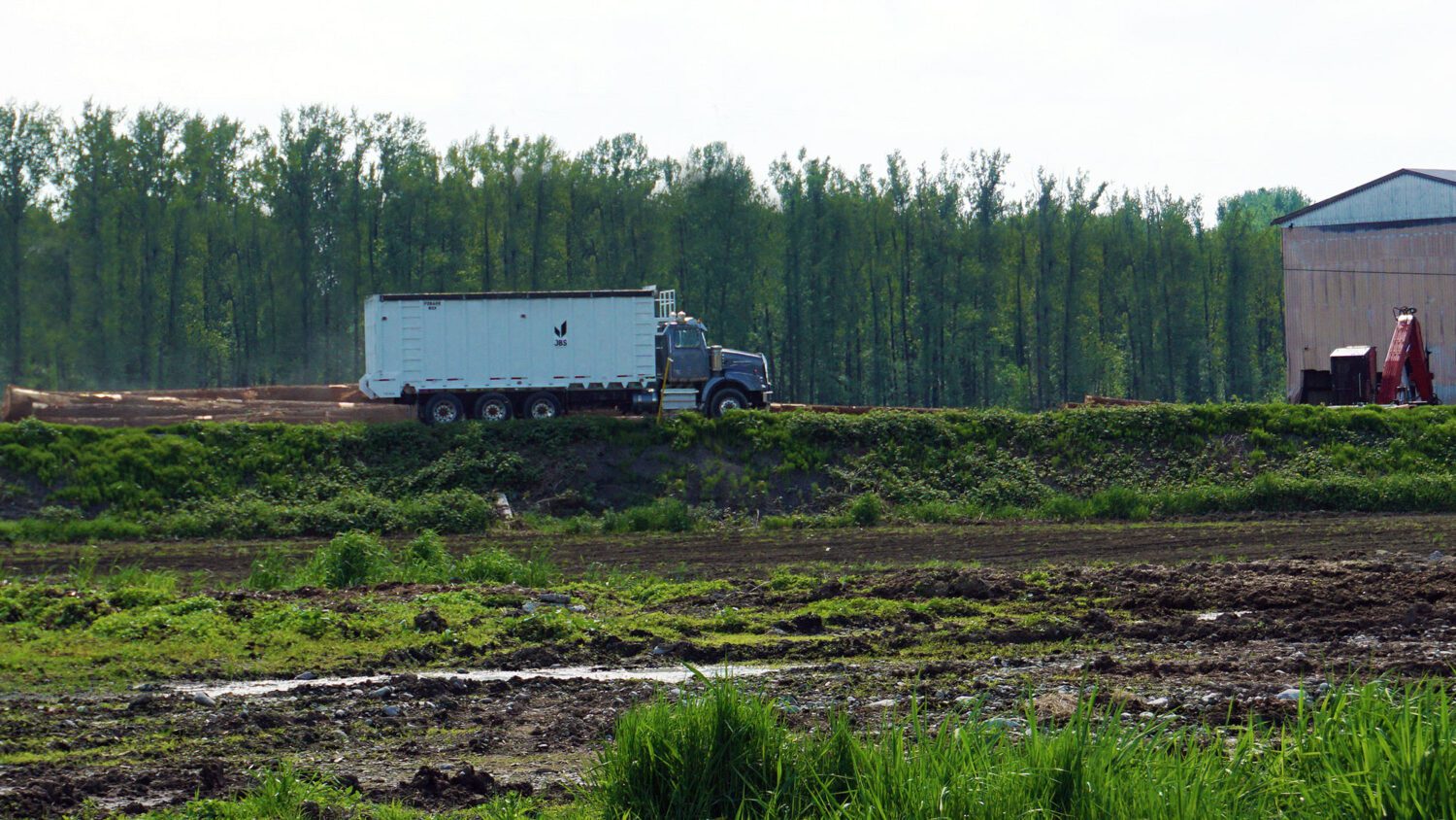 FORAGE BOX 2